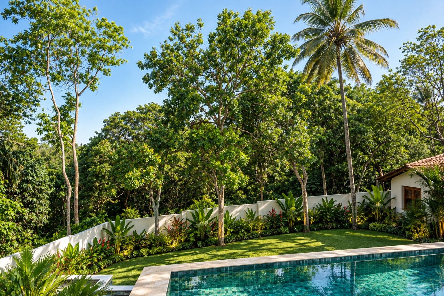 The garden at Kottamba Kanda: lawn and planting under tall trees and a coconut palm, a corner of the pool in front (architectural render)